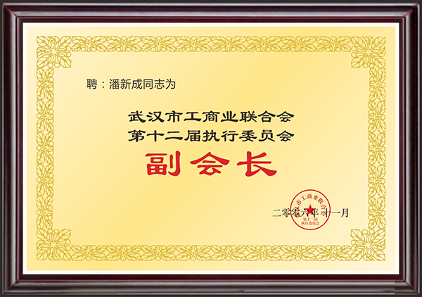 3-2 武汉市工商业联合会第十二届执行委员会副会长